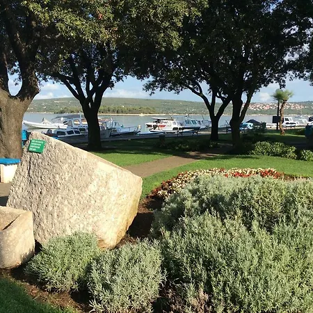 Apartment Apartment Punat *